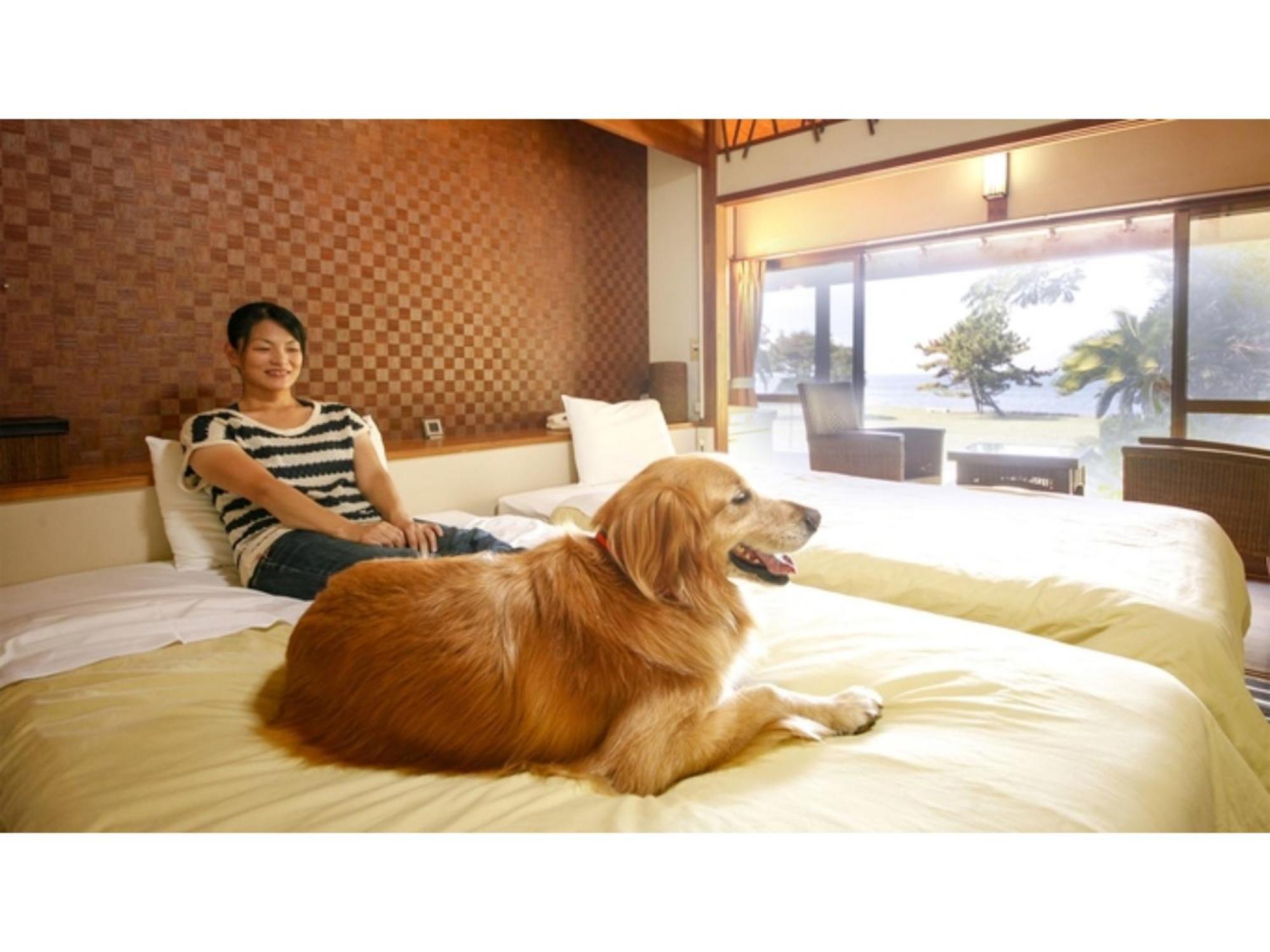Japari Tateyama - Vacation Stay 84018V Buitenkant foto