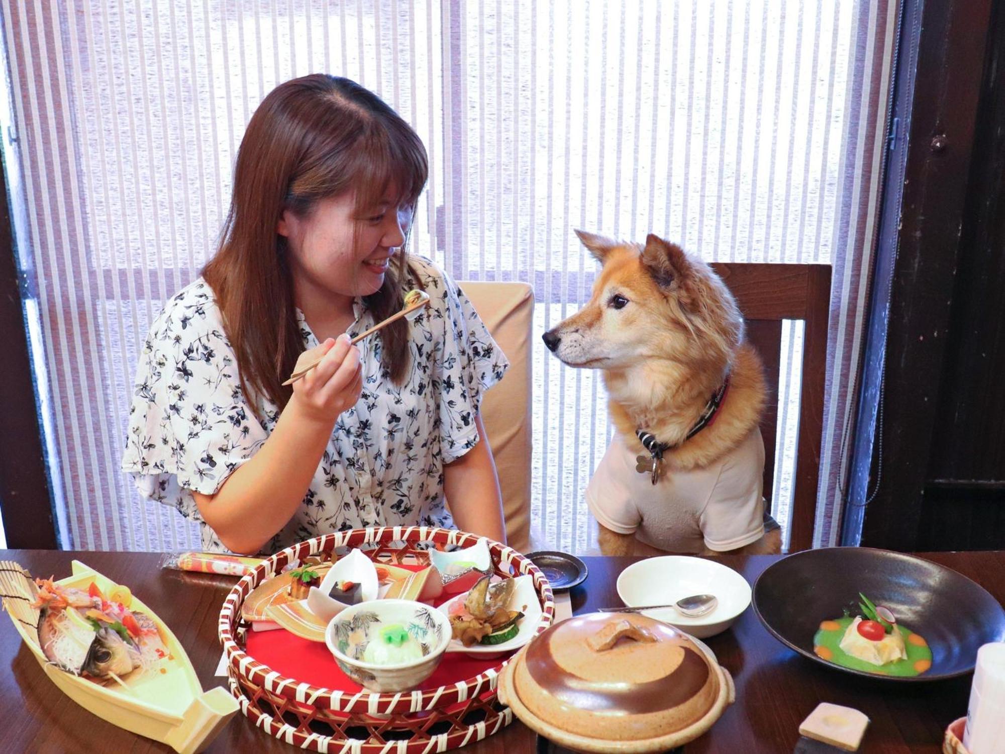 Japari Tateyama - Vacation Stay 84018V Buitenkant foto